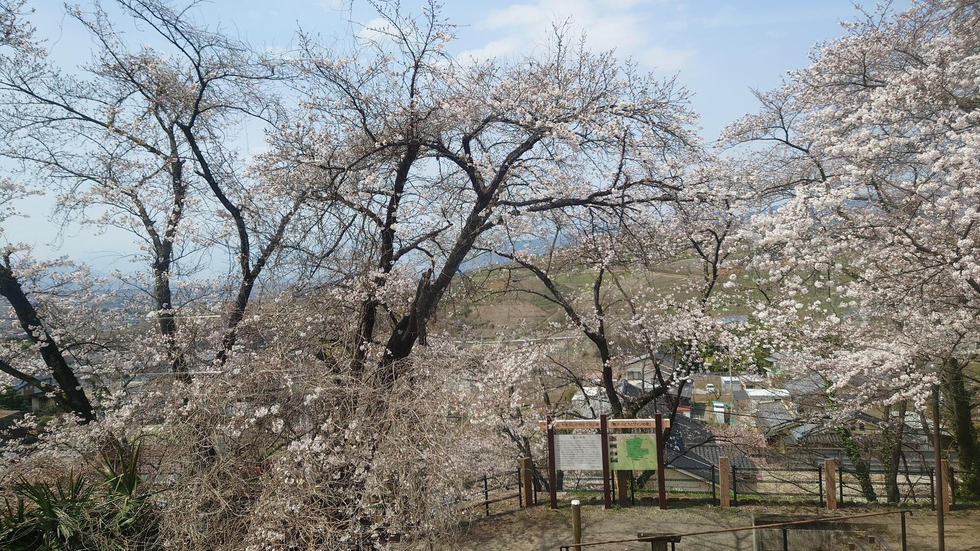 メインビジュアル